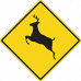 Wildlife Start Logo